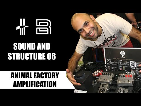 SOUND AND STRUCTURE 06: ANIMAL FACTORY AMPLIFICATION