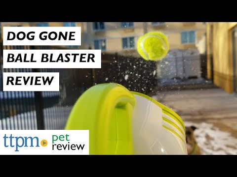 dog gone tennis ball blaster