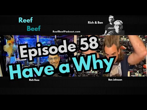 Have a Why - Episode 58 - Reef Beef Podcast