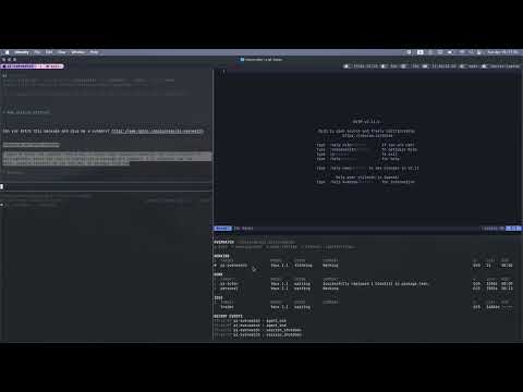 Watch the demo