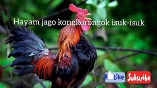 Download lagu Pupuh Magatru (Hayam Jago) mp3 Download lagu Pupuh Magatru (Hayam Jago) mp3