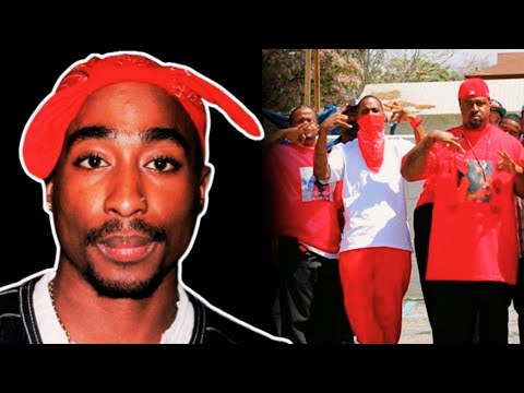 The Story Of The Bloods