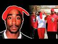 The Story Of The Bloods