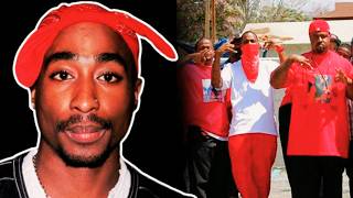 The Story Of The Bloods