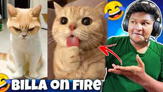 BILLA ON FIRE 🔥😅 | Meme’s Review 2 | RR Reacts