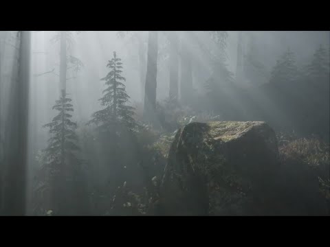 Craig Connelly & Christina Novelli - Black Hole (Piano Cover)