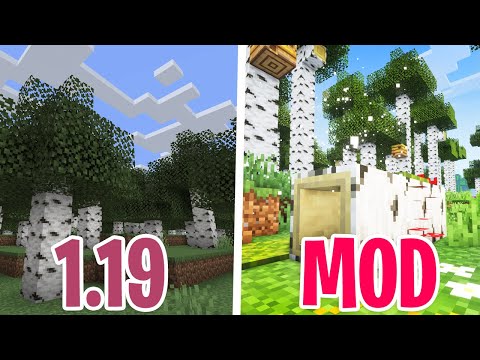 Il WILD UPDATE dei SOGNI in MINECRAFT MOD!!