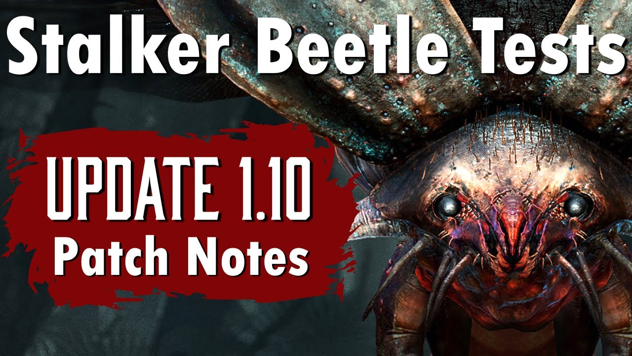 Stalker Beetle Tests and Update 1.10 Patch Note Discussion - YouTube