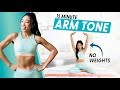 15 Minute Arm Burnout Weightless Upper Body Workout