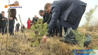 Նոր տնկիներ «Սևան» ազգային պարկի սոճուտում՝ ի նշան հայ-բելառուսական բարեկամության