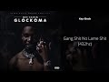 Key Glock Gang Shit No Lame Shit 432hz