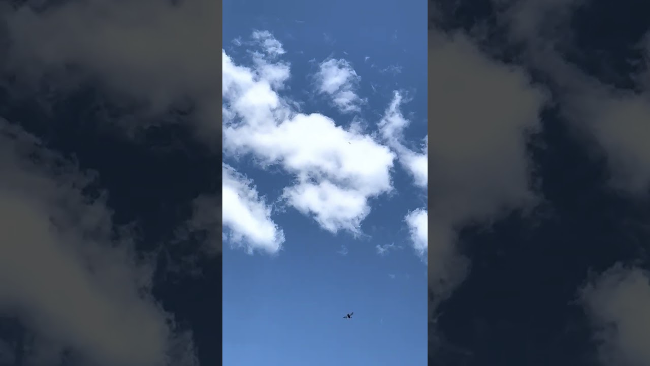 Radical Rocketry X-15A-2 Model Rocket First Flight with External Tanks