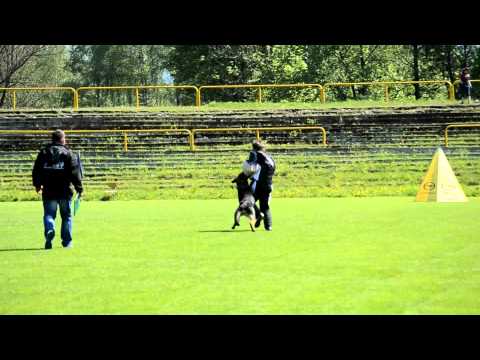 VS Třinec 2012 - Radomír Kupka & Cox Vikar C: 90