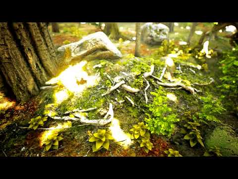 Reaching for Petals PHOTOREALISTIC by game hancer 4K