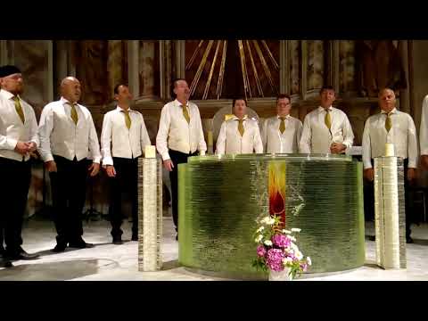 "Lei mei anzige Liab" - Die Vokalsolisten Kärnten (live)