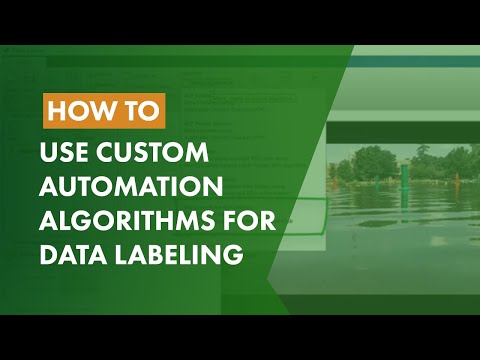 How to Use Custom Automation Algorithms for Data Labeling