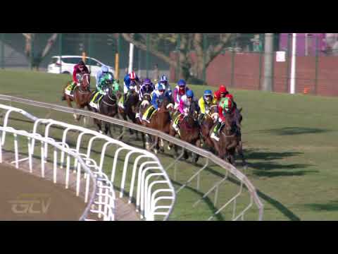 20210731 Hollywoodbets Greyville express clip Race 7 won by NEBRAAS