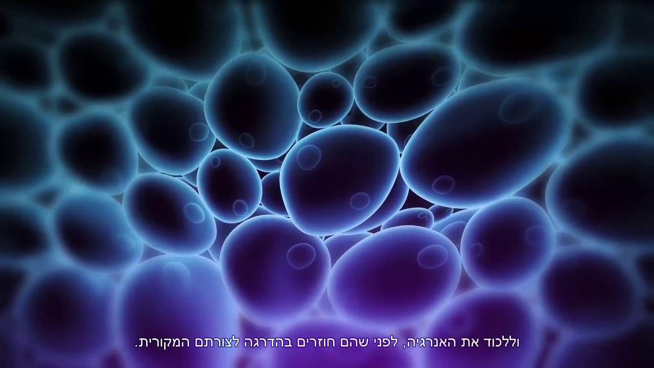 טמפור פיזור לחצים  thumbnail