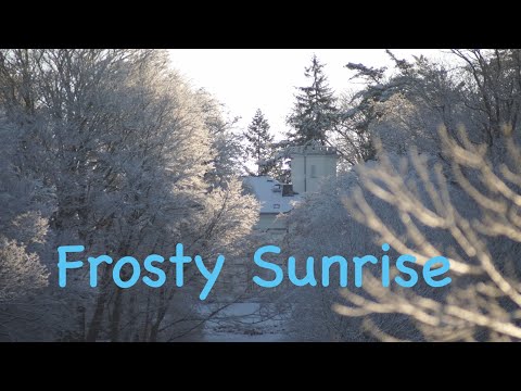 Frosty Sunrise Behind the Park Palace  * 4k real time silent landscape video