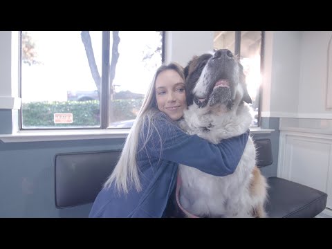 Oakdale Veterinary Group - Join Our Dream Team!