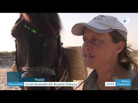 L'île de Ré, le petit coin de paradis d'Allain Bougrain-Dubourg
