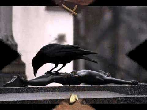 No es dios todo lo que reluce - Artesanal (Indio Solari)