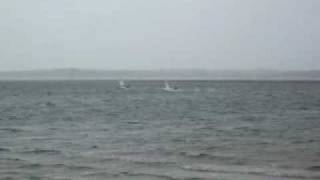 preview picture of video 'Laser Sailing Boat doing 15 plus knots'