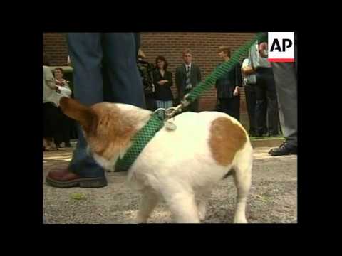 Hundreds attend funeral of murdered farmer
