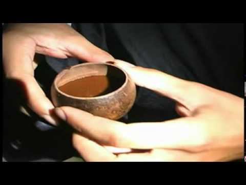 Primosia   Jose Ricardo