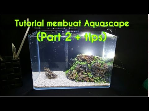 Tutorial Membuat Aquascape Untuk Pemula (Part 2 + tips dan cara perawatan)