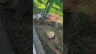 The Fastest Way to Replant Large Shrubs and Bushes