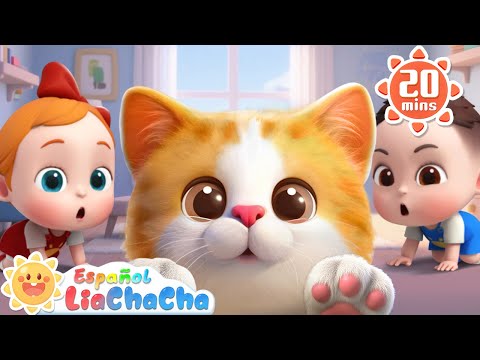 Tengo una Gatita🐱 | LiaChaCha en Español - Canciones Infantiles