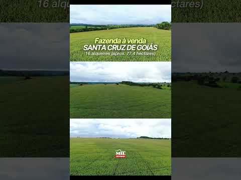 FAZENDA À VENDA – SANTA CRUZ DE GOIÁS | 77,4 ha., região agrícola  #fazendaavenda #agro