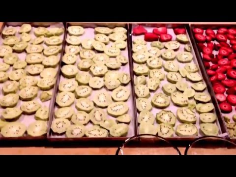 download lagu mp3 mp4 Rehydrate Freeze Dried Fruit, download lagu Rehydrate Freeze Dried Fruit gratis, unduh video klip Rehydrate Freeze Dried Fruit