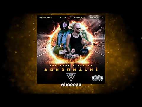 ♫ JayLuboG & Svator - Neberem věci na lehkou váhu [OFFICIAL LYRICS VIDEO]