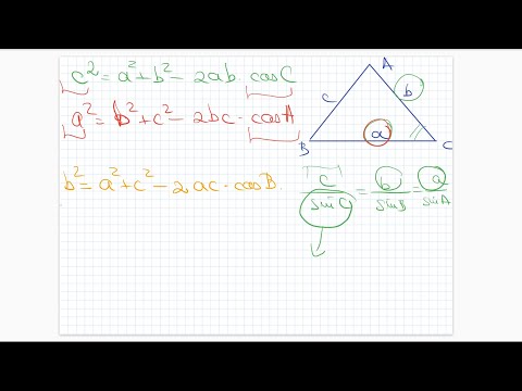 Simulare Bacalaureat 2021 - Stiinte ale Naturii - Rezolvare Subiect