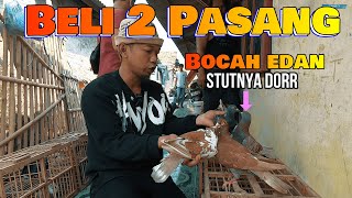 Download lagu Ajib Bener..!! Dapet Merpati Joss di Pedagang Grosir Merpati Babelan Bekasi mp3