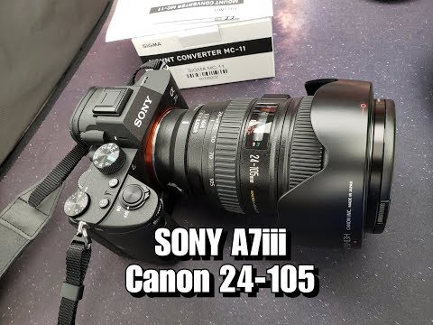 Sony A7iii with Adapted Lenses Canon 24-105mm with Sigma MC11