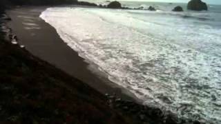 Crescent City Tsunami, 2011