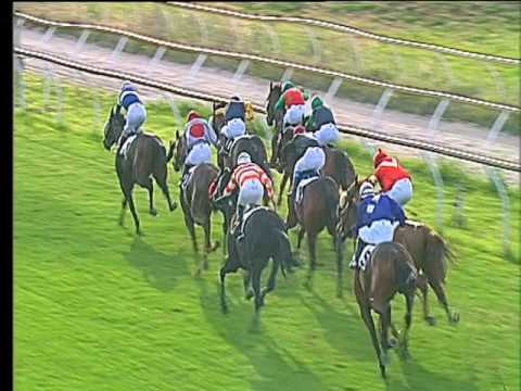 Galoppo 11/05/2017 - 6ª corsa