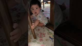 【育児あるある】赤ちゃん、いないと思ったらテーブルの下に潜んでた👶💖 #生後7ヶ月 #