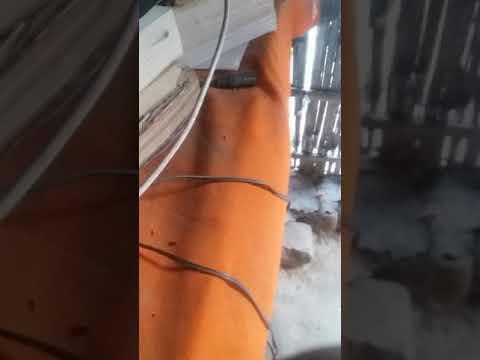 download lagu mp3 mp4 Rax King, download lagu Rax King gratis, unduh video klip Rax King