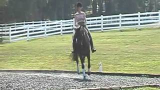 preview picture of video 'SOLD! Arden-2004 16.2 h Bay Hanoverian Gelding (Absolute x Broganxx)'