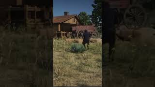 I will go see the house..