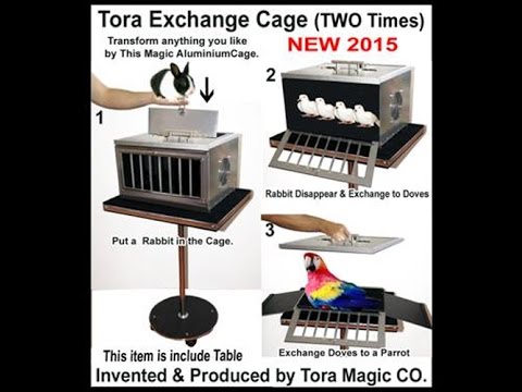 EXCHANGE CAGE DOUBLE - DAYTONA MAGIC