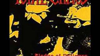 suicide mission-total chaos.wmv