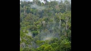 Download lagu instrumen keindahan alam Indonesia mp3