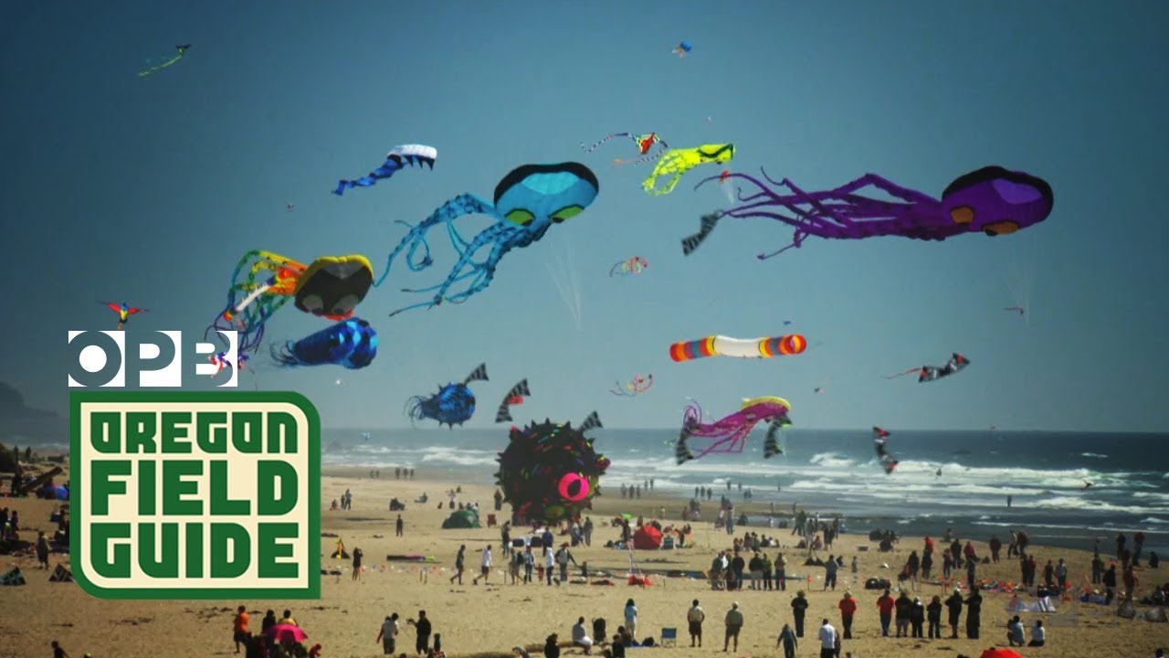 Kites That Fight and Kites That Dance At Oregon Festival | Oregon Field Guide