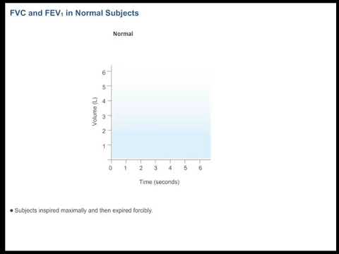 FVC and FEV1 in Normal Subjects