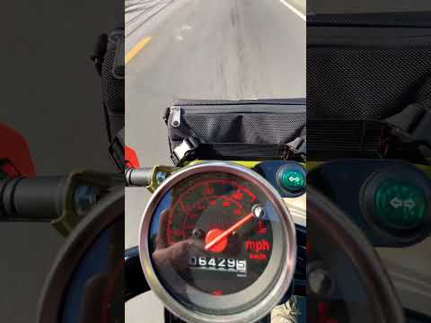 Thumbnail for 2024 Honda Ruckus Maxed Out‼️ #hondaruckus #allcityruckus #50cc by Honda City (AA), Honda City, Honda Ruckus